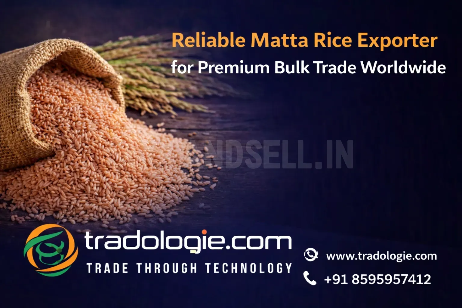 Reliable Matta Rice Exporter for Premium Bulk Trade Worldwide